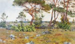 Gunnar Widforss - Coastal Landscape
