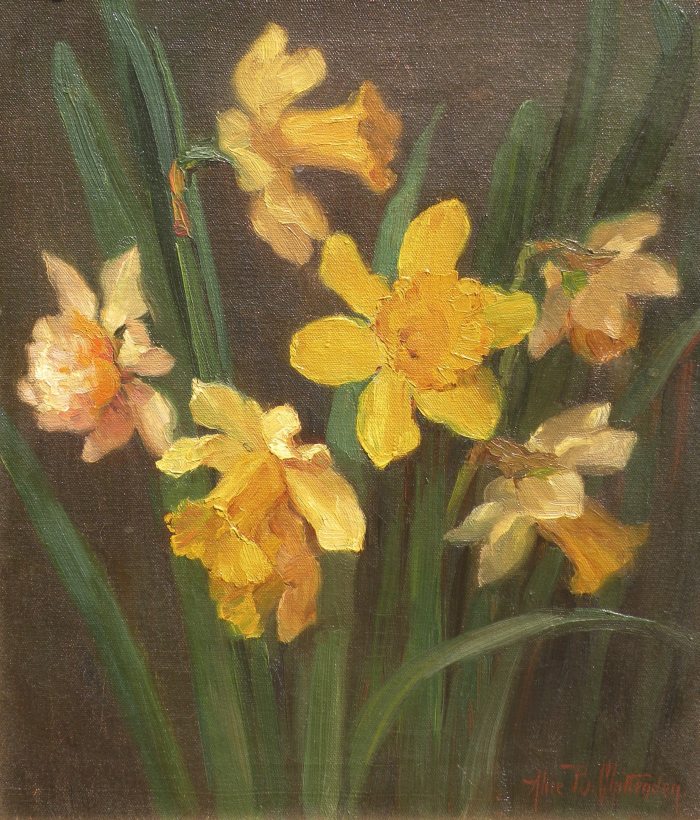Alice Chittenden - Daffodils