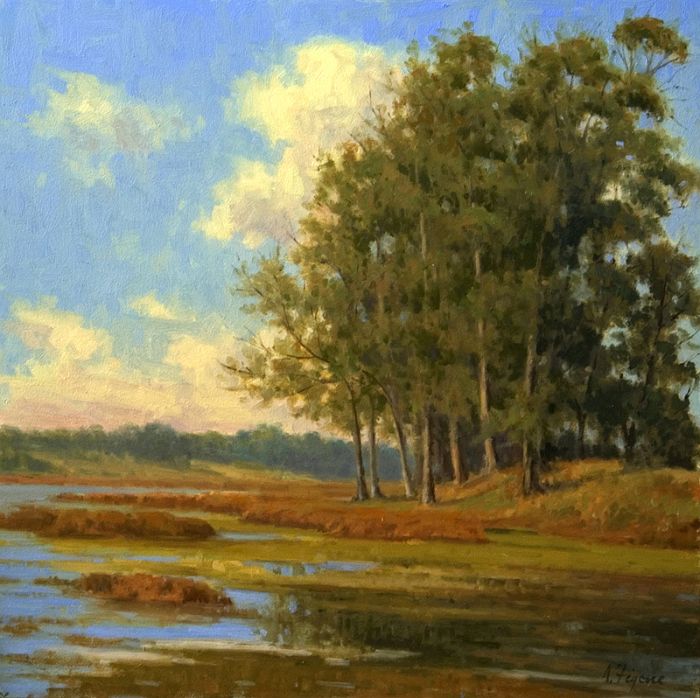 Allen Figone - Wetlands