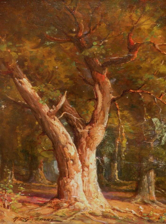 Deidrich Gremke - Centennial Oak 