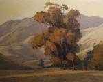 Paul Kratter - Golden Eucalyptus