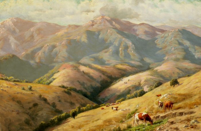 Thaddeus Welch-San Geranimo Hills