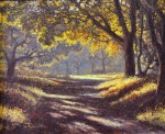 Dave Sellers - A Cool Walk In Warm Light