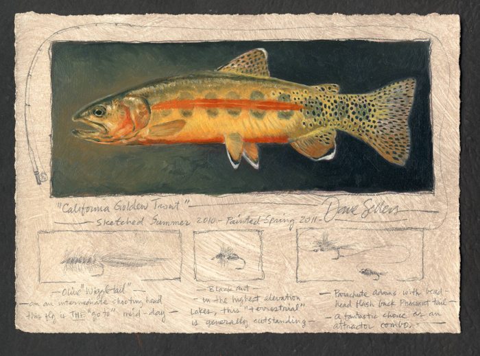 Dave Sellers - California Golden Trout