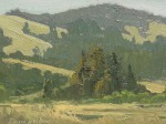Dave Sellers - Willow Creek Meadow