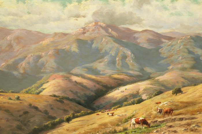 Thaddeus Welch - San Geronimo Hills 
