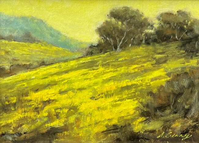 Mustard Bloom by Steven Curry