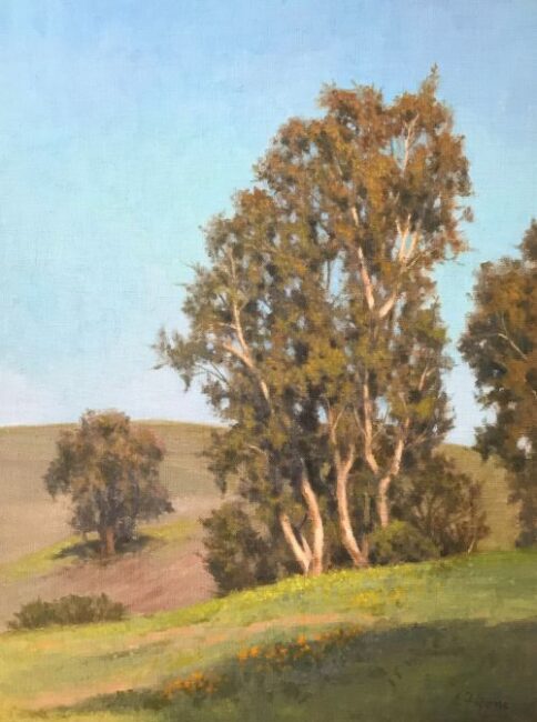 California Eucalyptus by Allen Figone