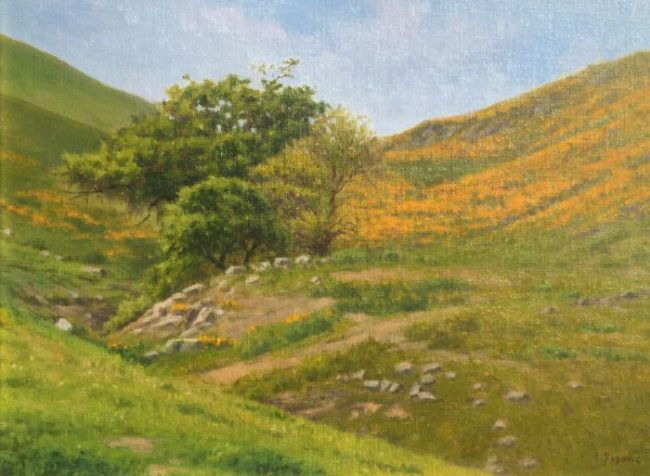 California Gold by Allen Figone