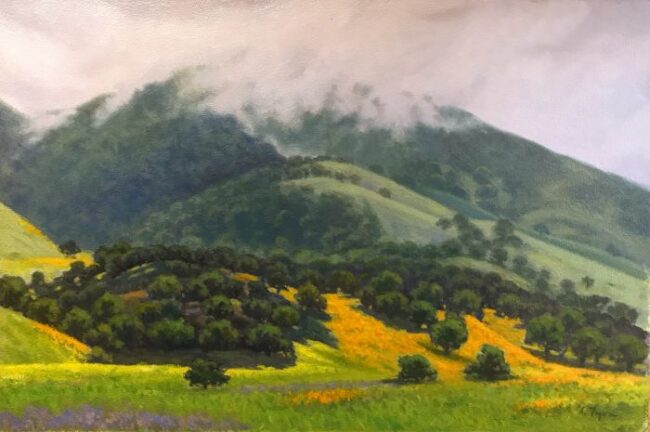 Fog & Wildflowers by Allen Figone