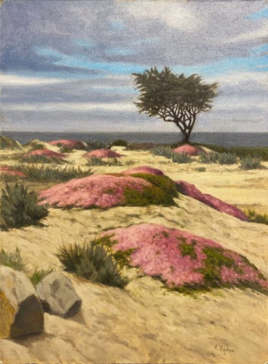 Ice Plant at Links at Spanish Bay by Allen Figone