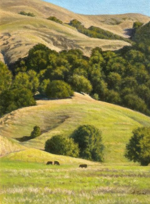 Marin by Allen Figone