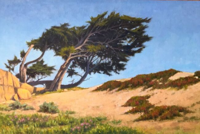Pacific Grove Cypress by Allen Figone