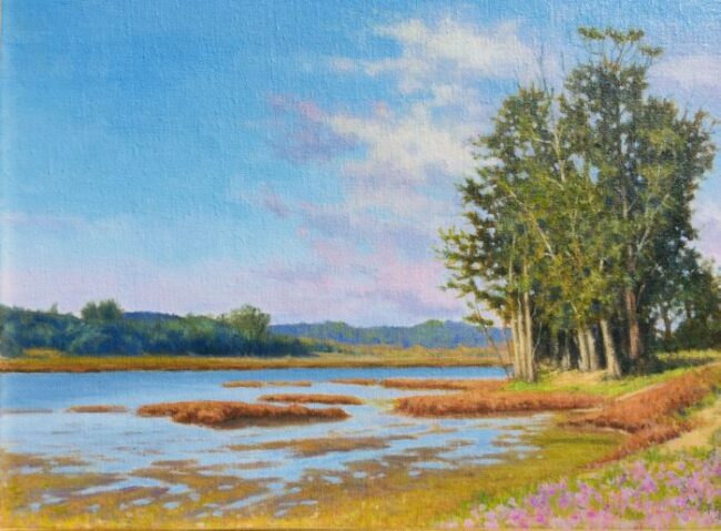 Pickleweed & Blooming Iceplant by Allen Figone