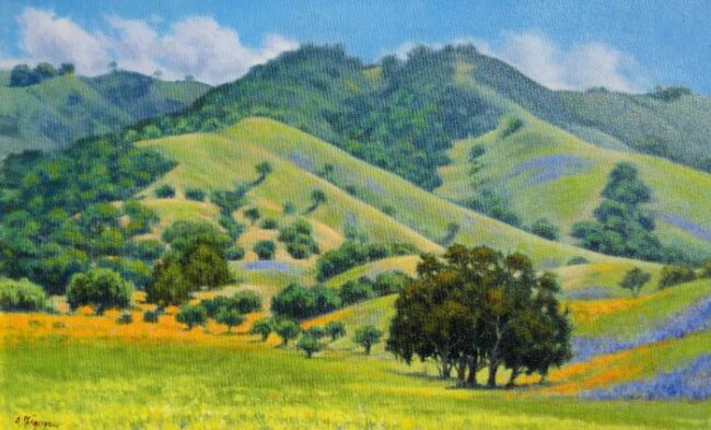 Poppies & Lupine Montgomery Hill by Allen Figone