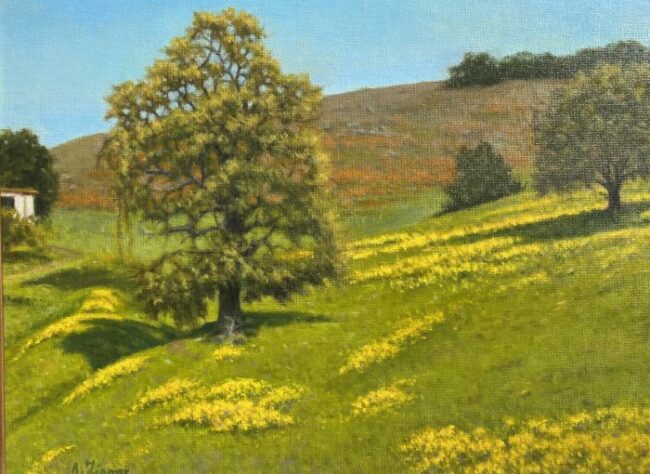 Wildflowers by Allen Figone