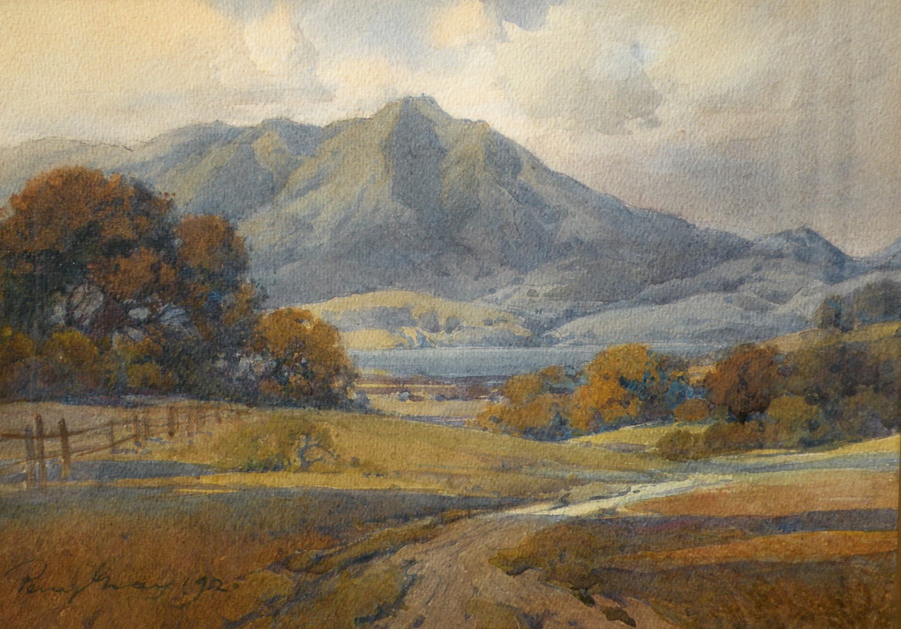 Percy Gray