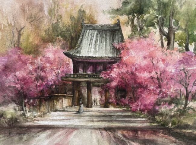 Cherry Blossoms Japanese Tea Garden by Jane Hofstetter
