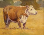 Paul Kratter - Cow Study