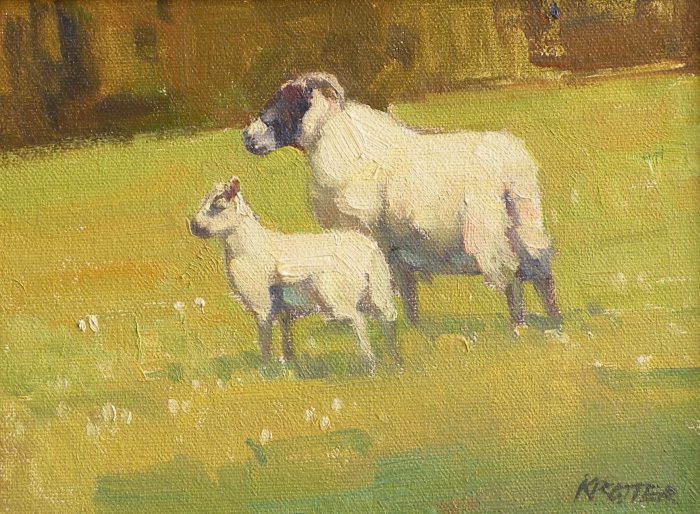 Paul Kratter - Scottish Sheep