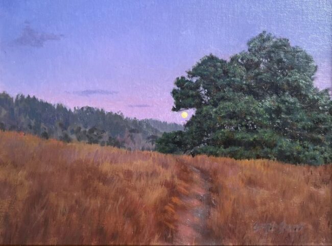 A Distant Meadow by Sergio Lopez