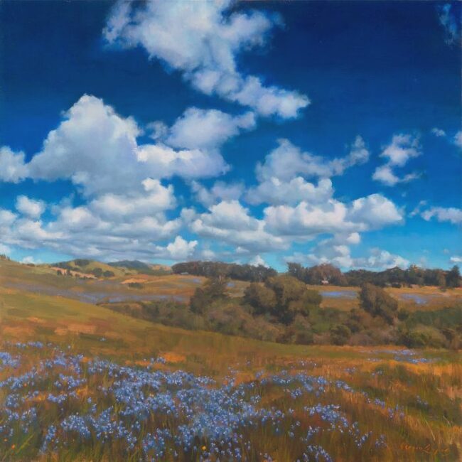 Blue Blankets by Sergio Lopez