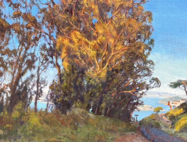 Catching the Light Sausalito by Sergio Lopez