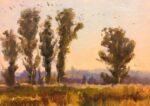 Sergio Lopez Eucalyptus Row