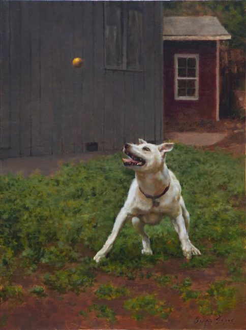 Focused and Ready by Sergio Lopez