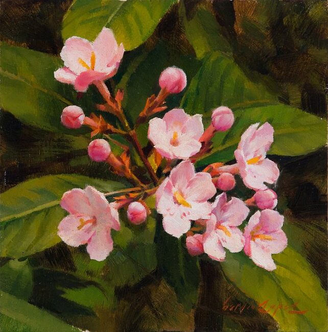 In the Botanical Garden by Sergio Lopez