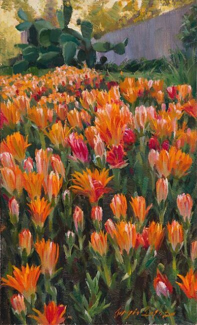 Indian Paintbrush by Sergio Lopez