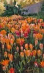 Sergio Lopez Indian Paintbrush