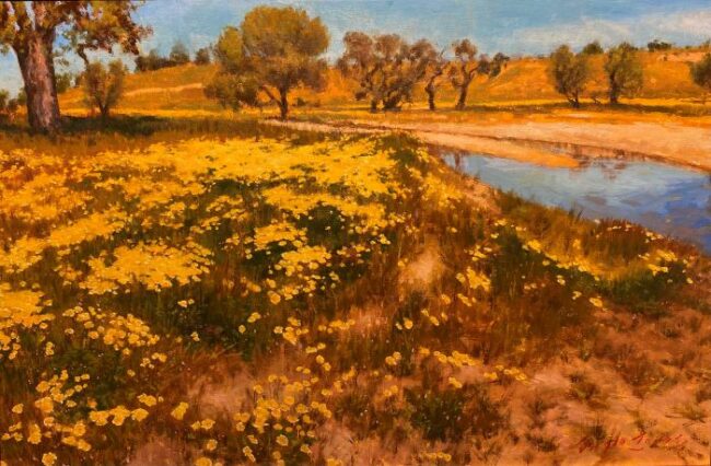 Luminous Field by Sergio Lopez