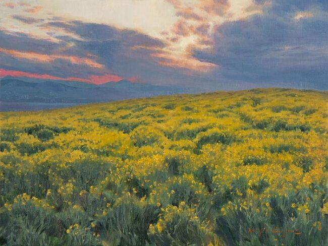 Natural Tapestry by Sergio Lopez