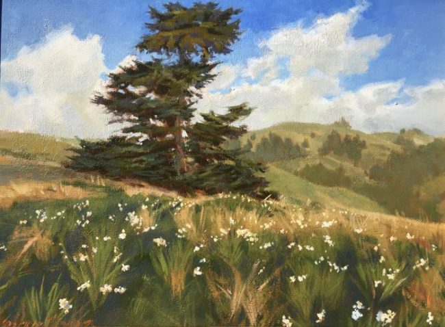 New Year Daffodils by Sergio Lopez