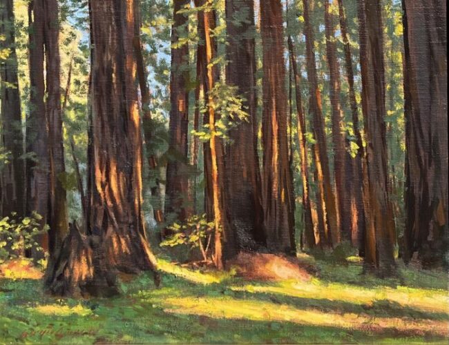 Redwood Pantheon by Sergio Lopez