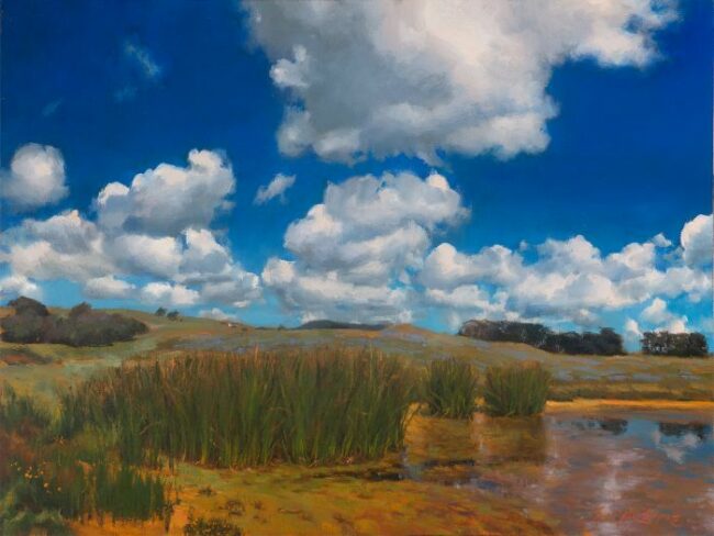 Springtime on the pond by Sergio Lopez