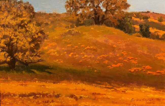 Sunlit Serenity by Sergio Lopez