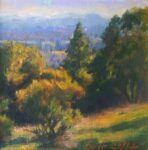 Sergio Lopez The Valley from Shiloh Ranch