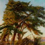 Sergio Lopez Western Sun