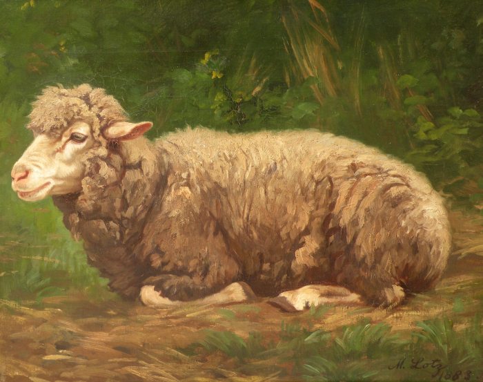 Matilda Lotz - sheeps rest