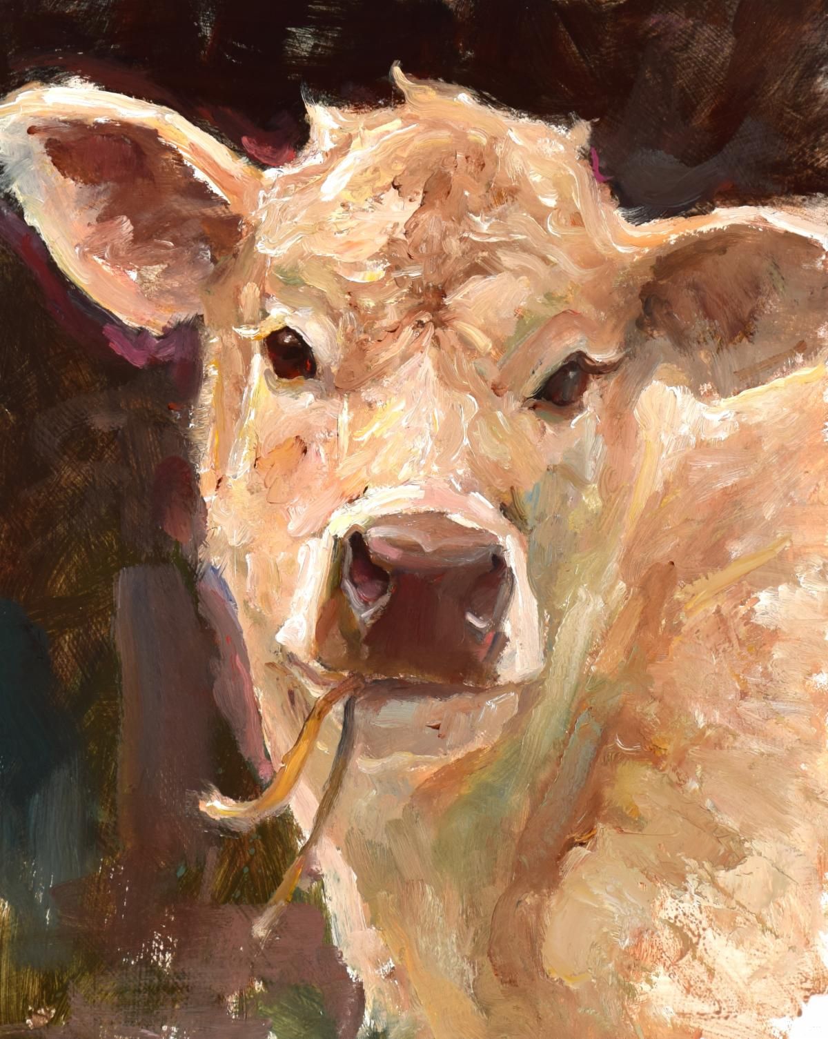 Curly by Kyle Paliotto