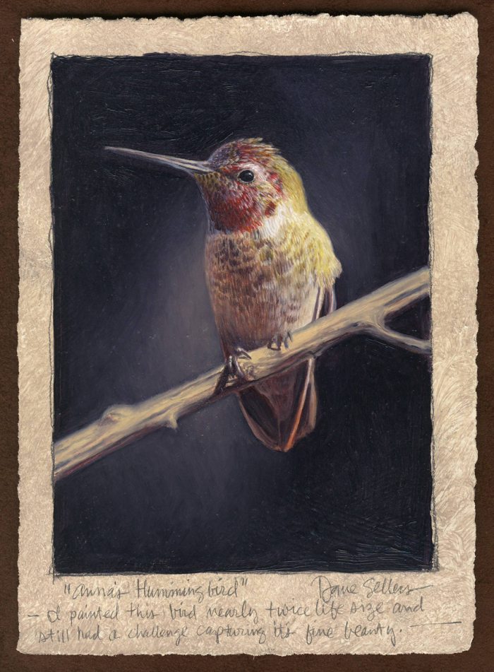 Dave Sellers - Annas Hummingbird