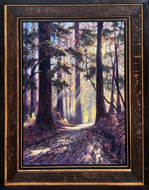 Armstrong Redwoods by Dave Sellers