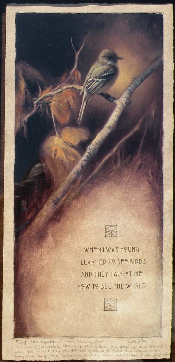 Pacific Slope Flycather When I Was Young