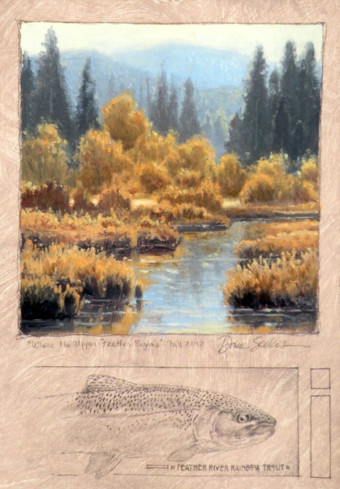 Where the Upper Feather Begins