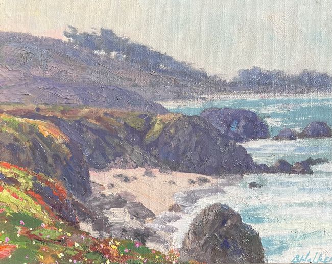 Coastal Haze Sonoma Coastline by Bart Walker