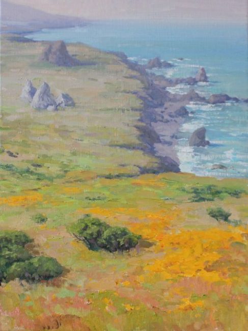 Sonoma Coast Bloom II by Bart Walker