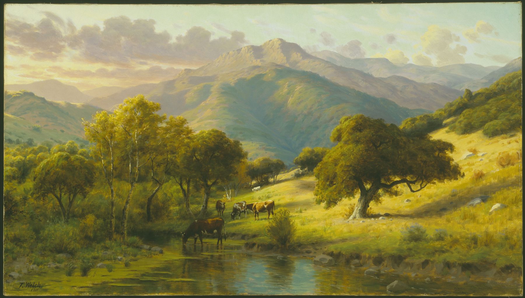 Thaddeus Welch