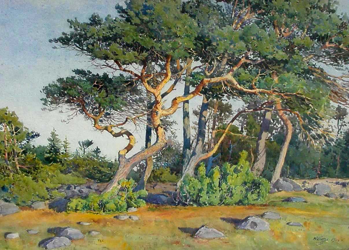 Gunnar Widforss